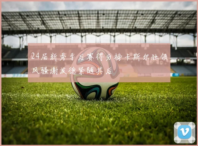 24届新秀季后赛得分榜卡斯尔独领风骚谢泼德紧随其后