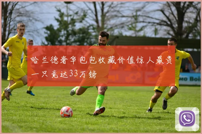 哈兰德奢华包包收藏价值惊人最贵一只竟达33万镑