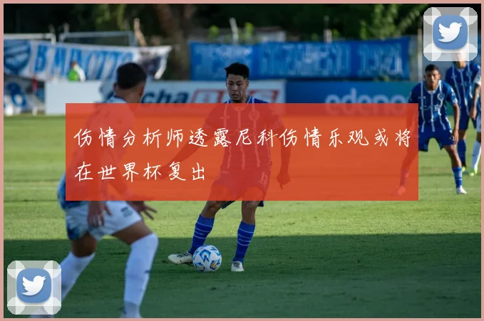 伤情分析师透露尼科伤情乐观或将在世界杯复出